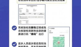 核酸检测最新爆料信息,揭秘最新爆料背后的科学真相