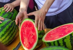 吃免费瓜,共享甜蜜，品味生活