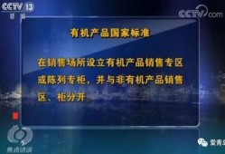 cctv追溯在线观看,揭秘历史瞬间，重温时代记忆