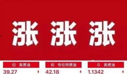 最新油价爆料消息,揭秘最新爆料背后的市场走向