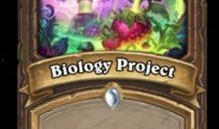 最新卡片大爆料手游下载,卡片大爆料，下载热潮即将来袭！