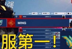 最新爆料国服,神秘游戏内容即将揭晓，玩家期待值飙升！