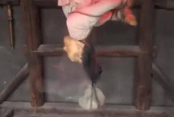 满清十大刑在线观看