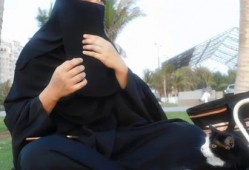 娱乐吃瓜君名媛,揭秘娱乐吃瓜君背后的名媛故事