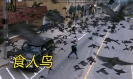 食人炼狱电影在线观看,生存边缘的恐怖之旅